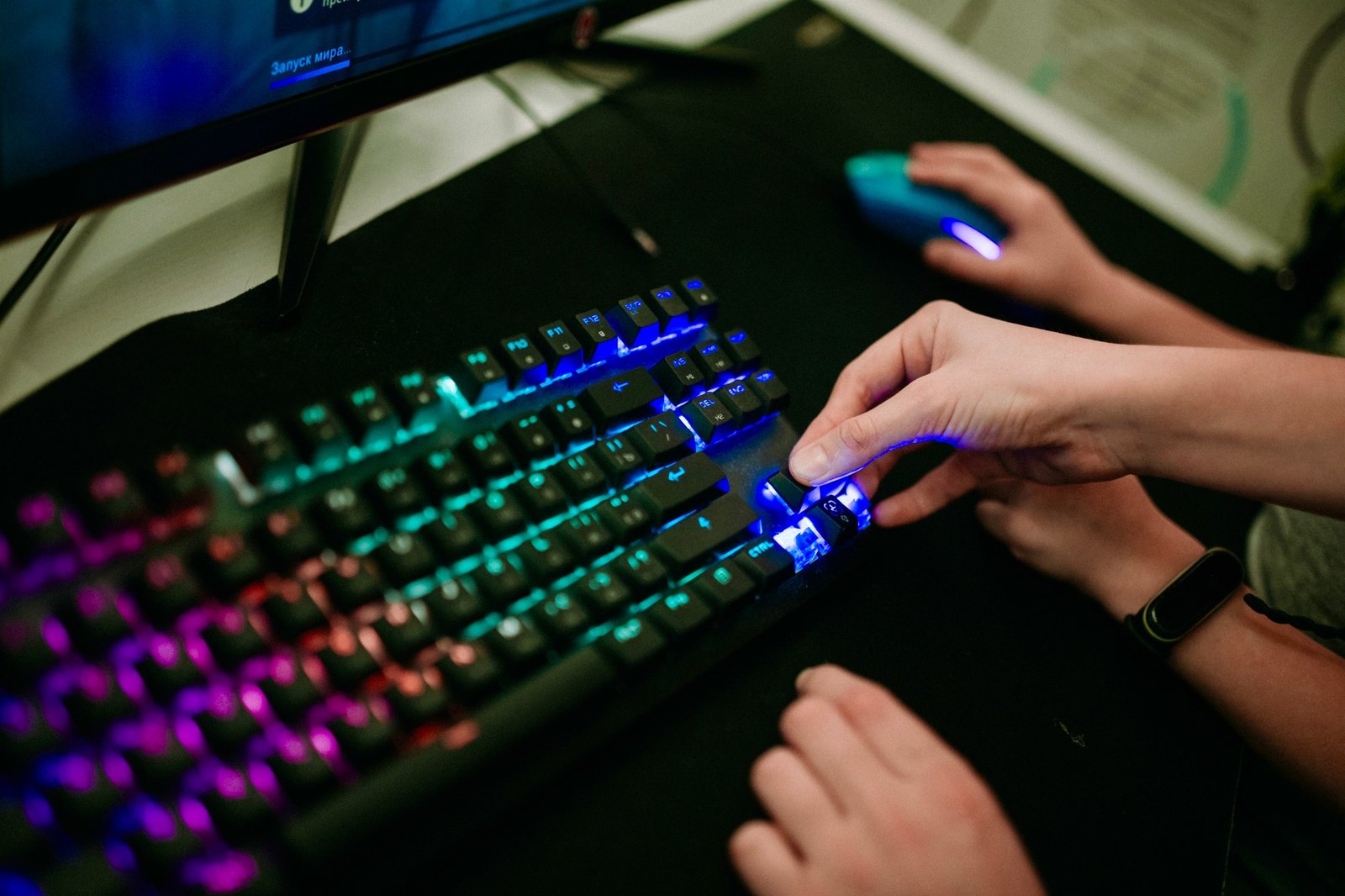 Gamer_
